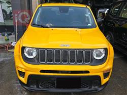 جيب رينيجيد